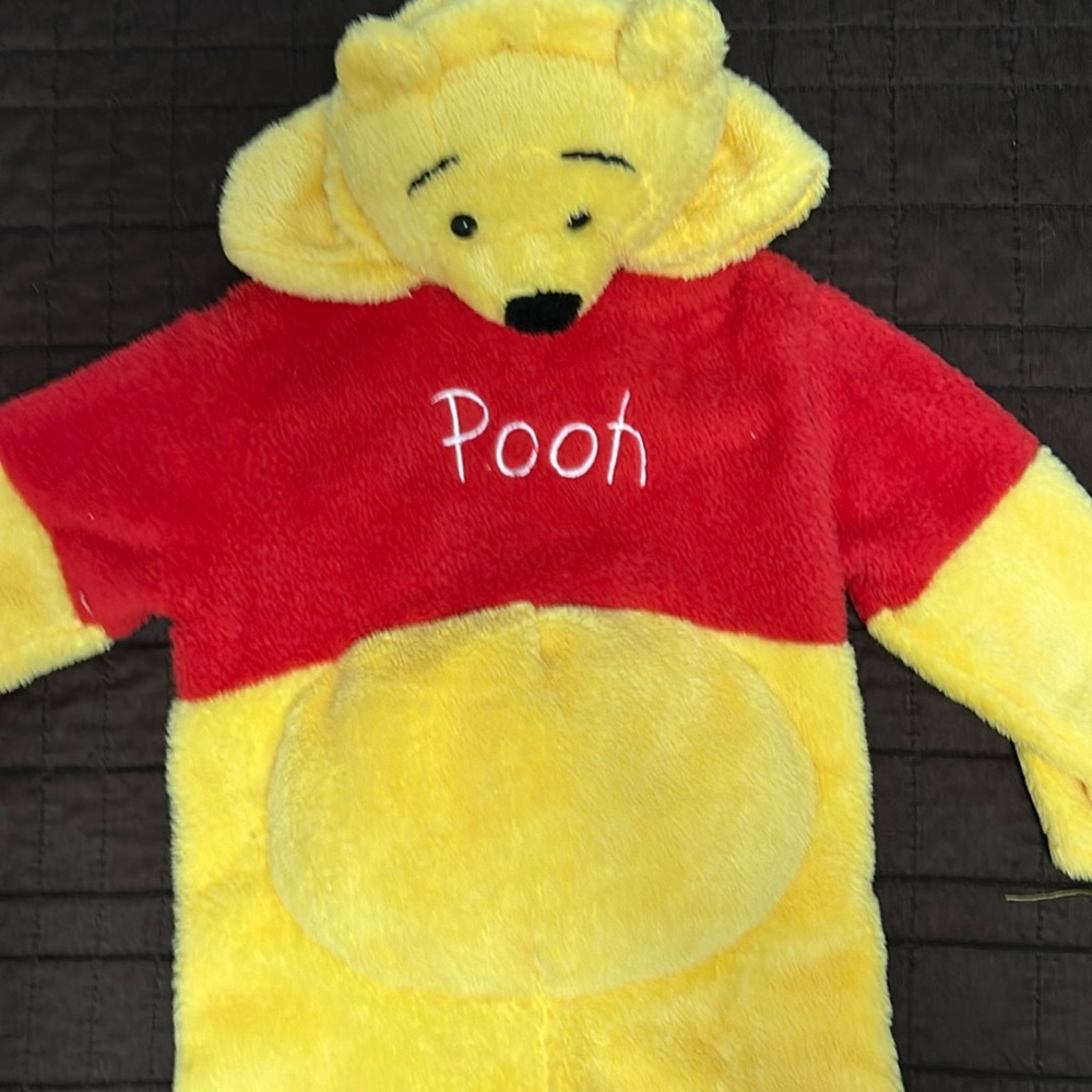 Winnie the Pooh costume.